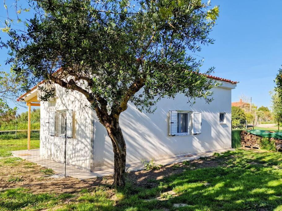 Cozy Owl'S Studio Home Pírgos Exterior foto